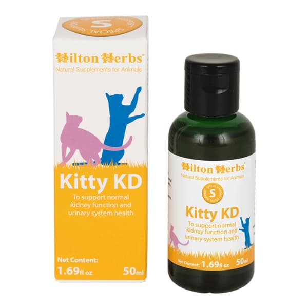 Hilton Herbs Kitty KD