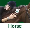Click Here For Shoo!TAGs For Horses